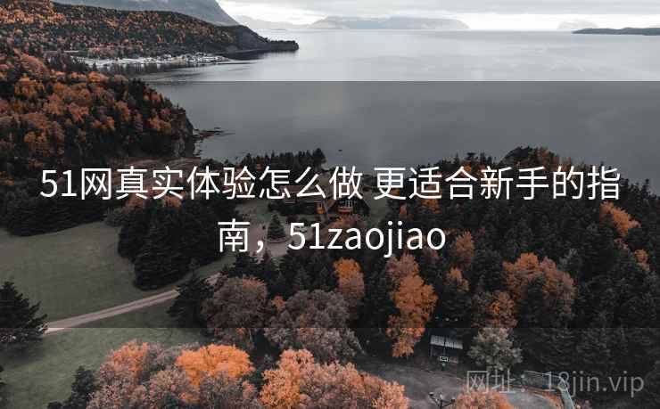51网真实体验怎么做 更适合新手的指南，51zaojiao