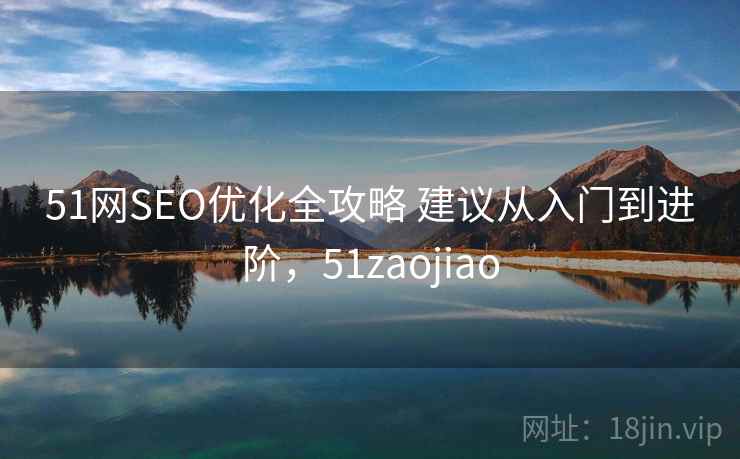51网SEO优化全攻略 建议从入门到进阶，51zaojiao