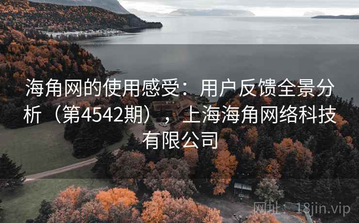 海角网的使用感受：用户反馈全景分析（第4542期），上海海角网络科技有限公司