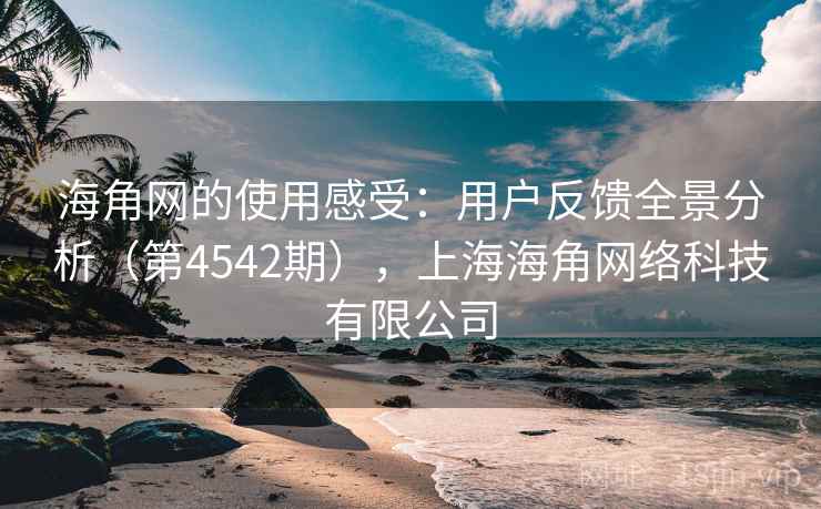 海角网的使用感受：用户反馈全景分析（第4542期），上海海角网络科技有限公司