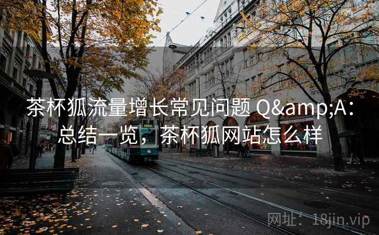 茶杯狐流量增长常见问题 Q&A：总结一览，茶杯狐网站怎么样
