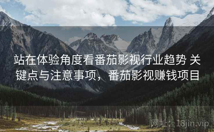站在体验角度看番茄影视行业趋势 关键点与注意事项，番茄影视赚钱项目