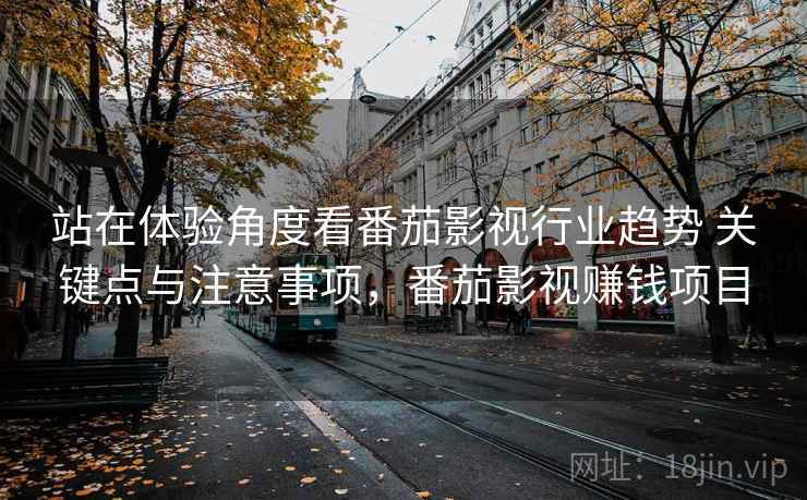 站在体验角度看番茄影视行业趋势 关键点与注意事项，番茄影视赚钱项目