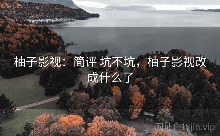 柚子影视：简评 坑不坑，柚子影视改成什么了
