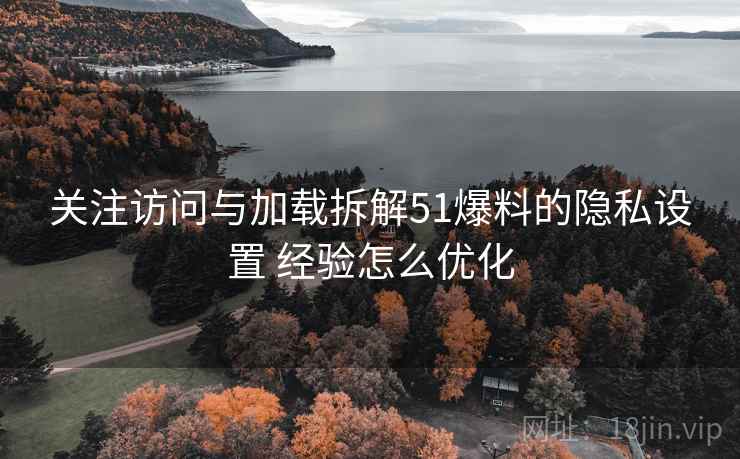 关注访问与加载拆解51爆料的隐私设置 经验怎么优化
