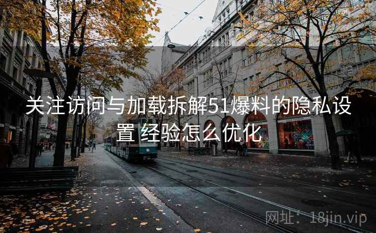 关注访问与加载拆解51爆料的隐私设置 经验怎么优化