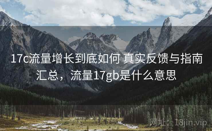 17c流量增长到底如何 真实反馈与指南汇总，流量17gb是什么意思