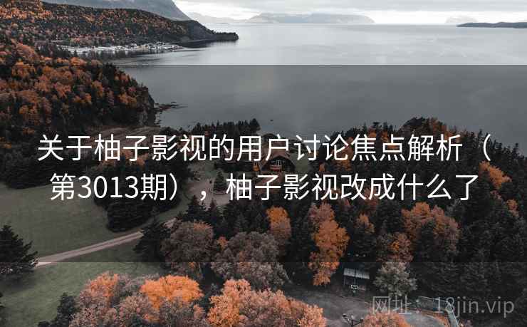 关于柚子影视的用户讨论焦点解析（第3013期），柚子影视改成什么了