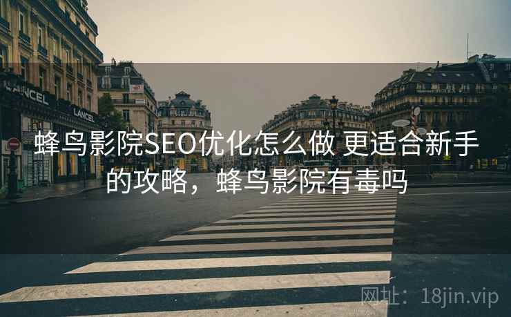 蜂鸟影院SEO优化怎么做 更适合新手的攻略，蜂鸟影院有毒吗